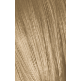 ESSENSITY Lightening Shades 10-14 Ultra Blonde Cendré Beige 2.02oz