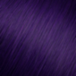 Kenra Color Permanent Coloring Creme Violet Booster 3oz