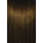 PRAVANA ChromaSilk 8.31 Light Golden Ash Blonde 3oz