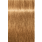 IGORA ZERO AMM 7-55 Medium Blonde Gold Extra