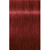 IGORA ROYAL 6-88 Dark Blonde Red Extra 2.02oz