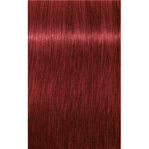 IGORA ROYAL 6-88 Dark Blonde Red Extra  | Salonory Royal Shades |  Categories | SKP