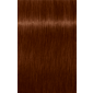 IGORA ROYAL Absolutes 7-470 Medium Blonde Beige Copper Natural 2.02oz