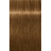 IGORA ROYAL Absolutes 9-460 Extra Light Blonde Beige Chocolate Natural 2.02oz