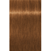 IGORA ROYAL Absolutes 9-470 Extra Light Blonde Beige Copper Natural 2.02oz