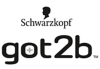Logo of the göt2b brand.