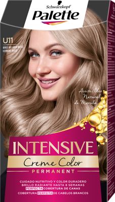 Palette Intensive Color U11 Gris helado rosé