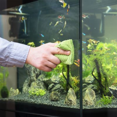 What Makes an Aquarium Glass Strong, Clean, and Durable All the Time?