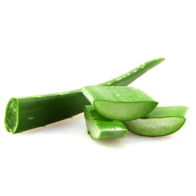 Tous les bienfaits et astuces de l'aloe vera pour les cheveux - Schwarzkopf
