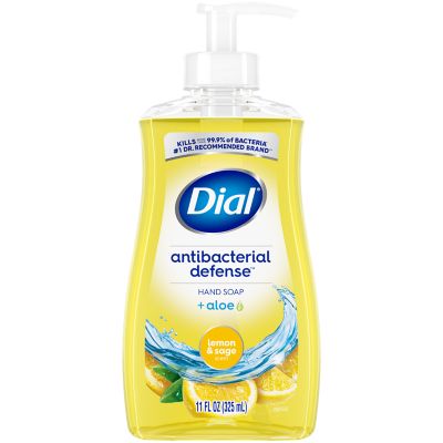 Dial antibacterial best sale hand soap aloe