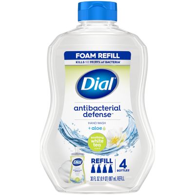 Dial antibacterial white online soap