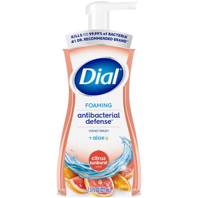 Dial 2024 foam soap