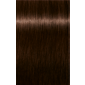 IGORA ROYAL Absolutes 4-60 Medium Brown Chocolate Natural 2.02oz