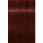 IGORA COLOR10 4-88 Medium Brown Red Extra 2.02oz
