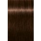 IGORA ROYAL Absolutes 5-60 Light Brown Chocolate Natural 2.02oz