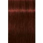 IGORA ROYAL Absolutes 5-80 Light Brown Red Natural 2.02oz