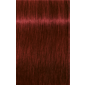 IGORA ROYAL 5-88 Light Brown Red Extra 2.02oz