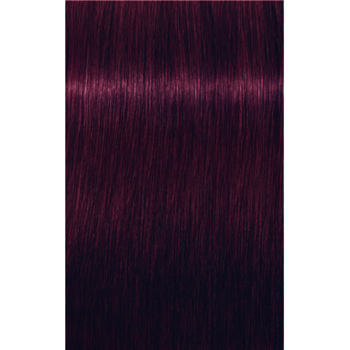 Vooruitgang pad ruw IGORA ROYAL 5-99 Light Brown Violet Extra 2.02oz | Salonory Royal Shades |  Categories | SKP