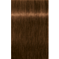 IGORA ROYAL Absolutes 6-60 Dark Blonde Chocolate Natural 2.02oz