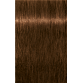 IGORA ROYAL Absolutes 6-60 Dark Blonde Chocolate Natural 2.02oz