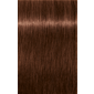 IGORA ROYAL 6-68 Dark Blonde Chocolate Red 2.02oz