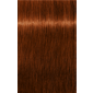 IGORA ROYAL Absolutes 6-70 Dark Blonde Copper Natural 2.02oz