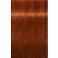 IGORA ROYAL 6-77 Dark Blonde Copper Extra 2.02oz