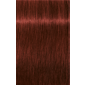 IGORA ROYAL Absolutes 6-80 Dark Blonde Red Natural 2.02oz