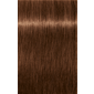 IGORA ROYAL Absolutes 7-60 Medium Blonde Chocolate Natural 2.02oz