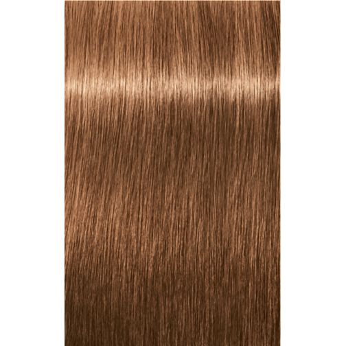 IGORA ROYAL 7-65 Medium Blonde Chocolate Gold  | Salonory Royal  Shades | Categories | SKP