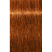 IGORA ROYAL Absolutes 7-70 Medium Blonde Copper Natural 2.02oz