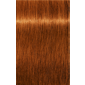 IGORA ROYAL Absolutes 7-70 Medium Blonde Copper Natural 2.02oz