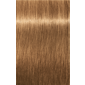 IGORA ROYAL Absolutes 8-50 Light Blonde Gold Natural 2.02oz
