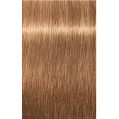 IGORA COLOR10 8-65 Light Blonde Chocolate Gold 2.02oz