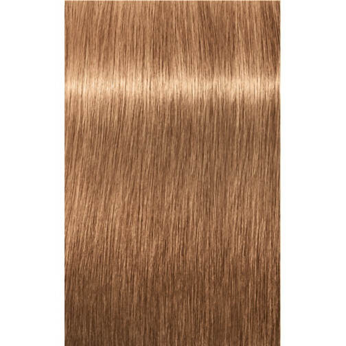 Vorming eenvoudig enkel IGORA ROYAL 8-65 Light Blonde Chocolate Gold 2.02oz | IGORA | Schwarzkopf  (P) - Ub | SKP