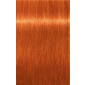 IGORA ROYAL 8-77 Light Blonde Copper Extra 2.02oz