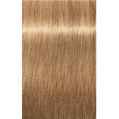 IGORA ROYAL Absolutes 9-40 Extra Light Blonde Beige Natural 2.02oz