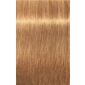 IGORA ROYAL Absolutes 9-50 Extra Light Blonde Gold Natural 2.02oz