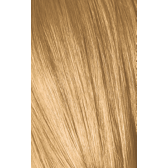 IGORA COLOR10 9-5 Extra Light Blonde Gold 2.02oz