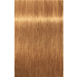IGORA ROYAL Absolutes 9-60 Extra Light Blonde Chocolate Natural 2.02oz