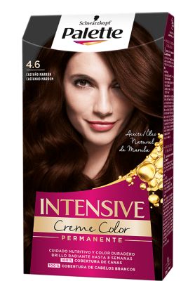 Palette Intensive Color 4.6 Castaño marrón