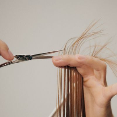 Schwarzkopf Professional Education Seminar Programme for 2025