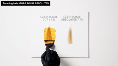 IGORA ROYAL | Schwarzkopf Professional