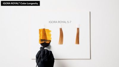 15+ Igora Royal Chart Color