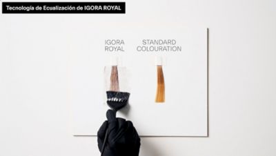 Igora Royal Coloración Permanente – Abril Guerra