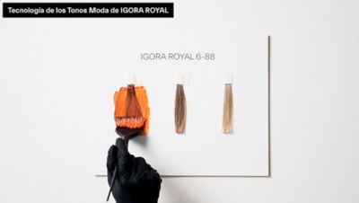 IGORA ROYAL | Schwarzkopf Professional