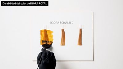 IGORA ROYAL | Schwarzkopf Professional