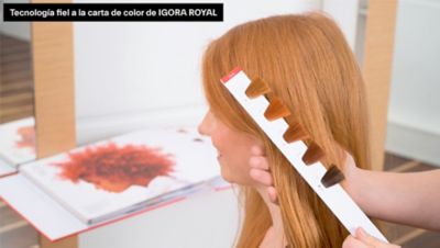 Schwarzkopf Igora Royal 5-6 Color de cabello Peru