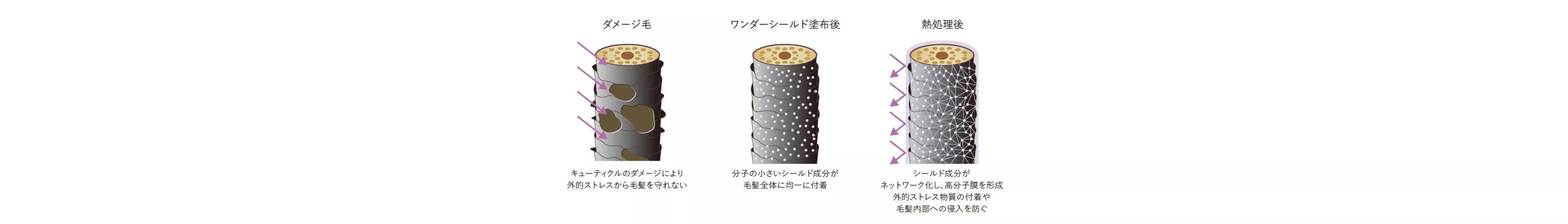 今だけエアリーフローサシェセット付き】SUBLIMIC サブリミック