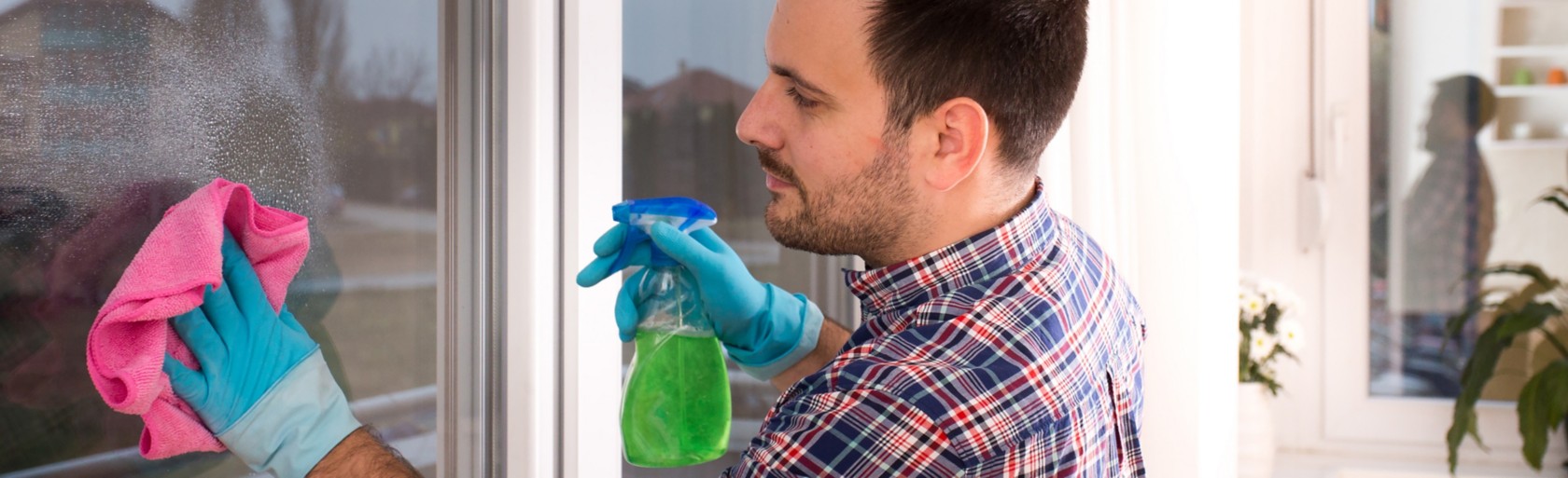 Spiritus &amp; Co. Welcher Fensterreiniger putzt am besten